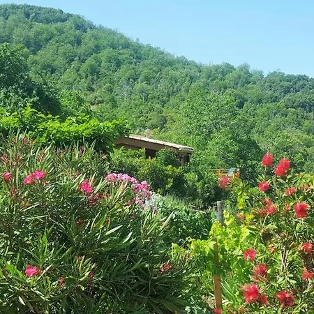 Studio A Zicavo