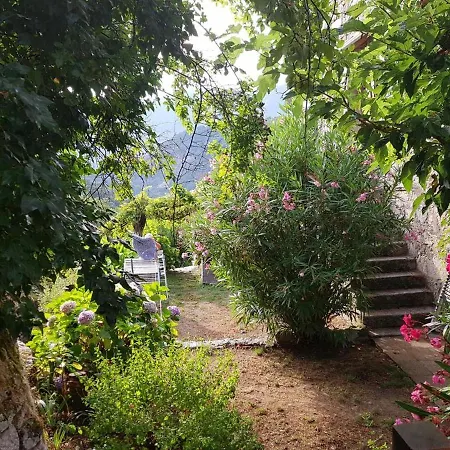Studio A Zicavo