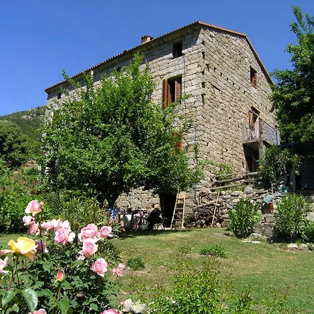 Studio A Zicavo Appartement *