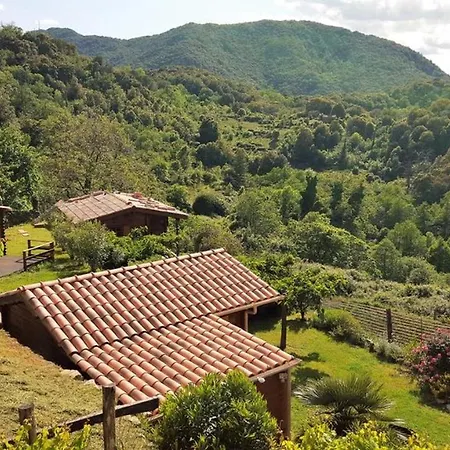 Studio A Zicavo